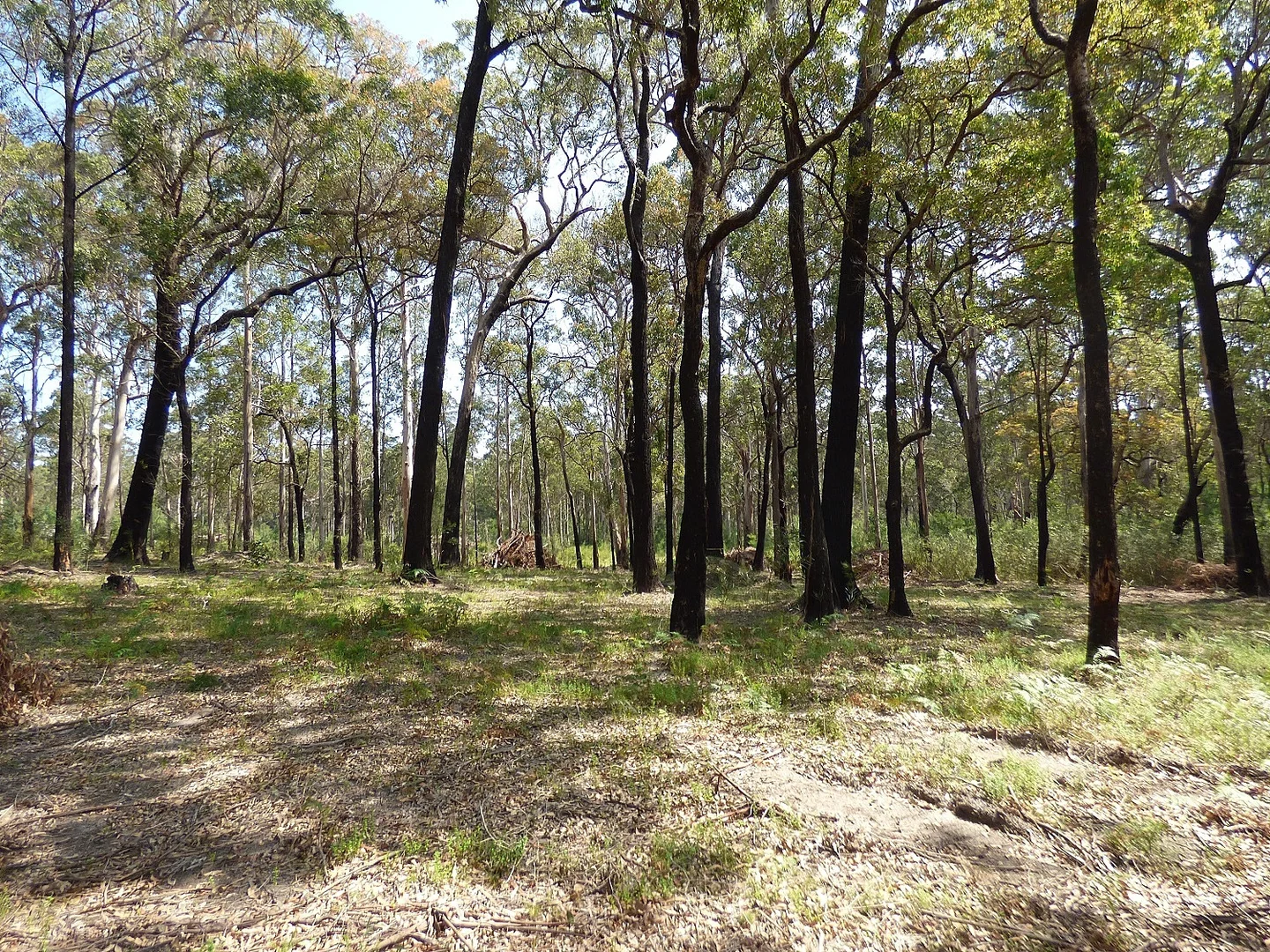 Image 6