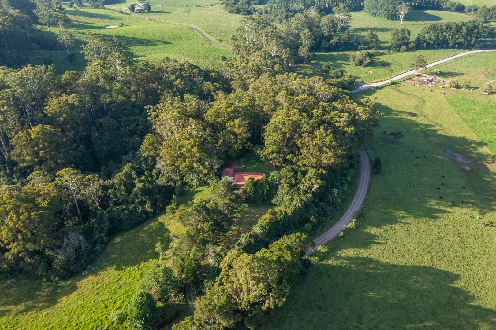 3247 Wingham Road, Comboyne NSW 2429, Image 1