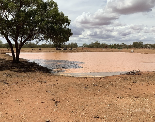 Lot 9 Illewong Street, Euabalong West NSW 2877