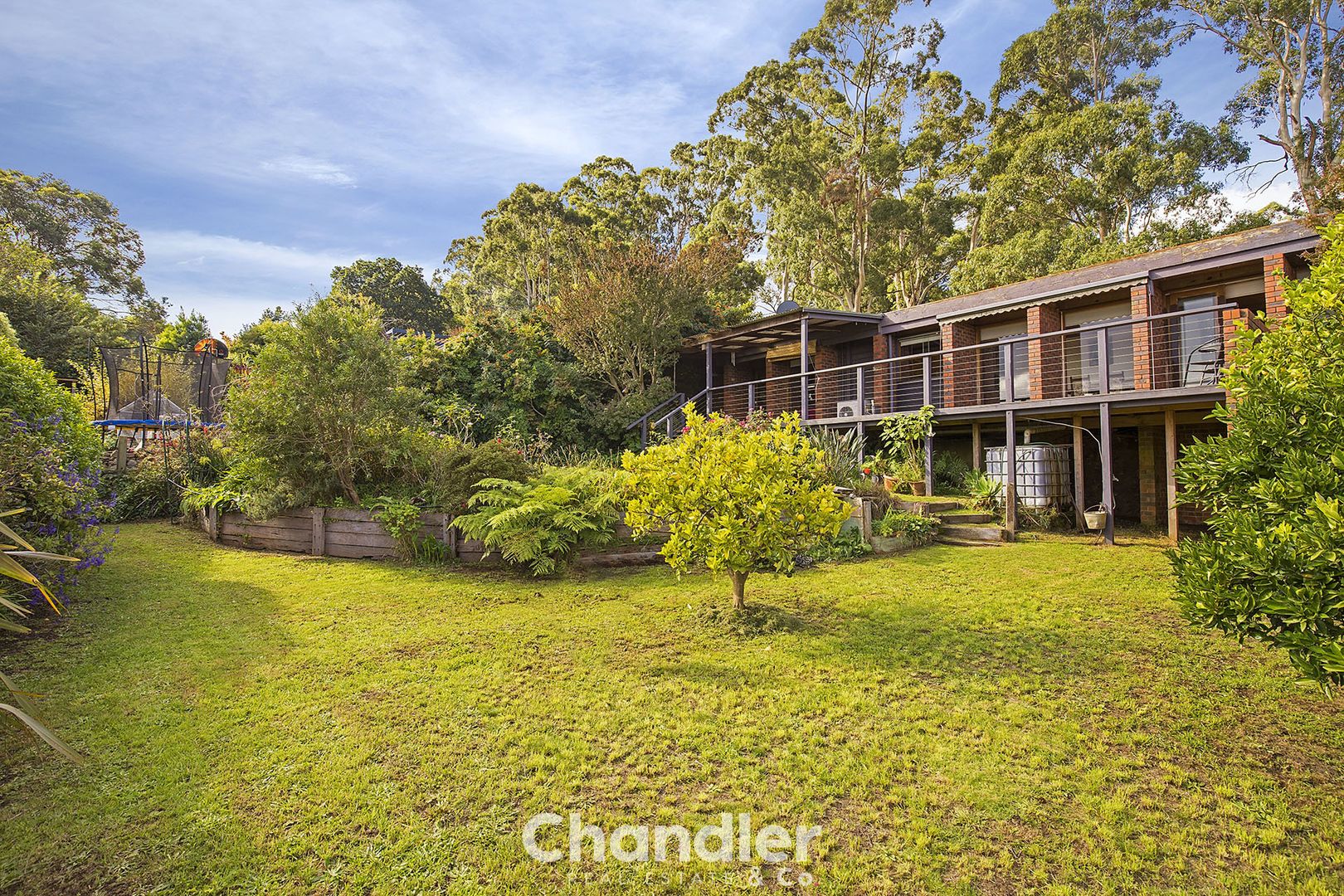 11 Jacksons Hill Road, Menzies Creek VIC 3159, Image 1