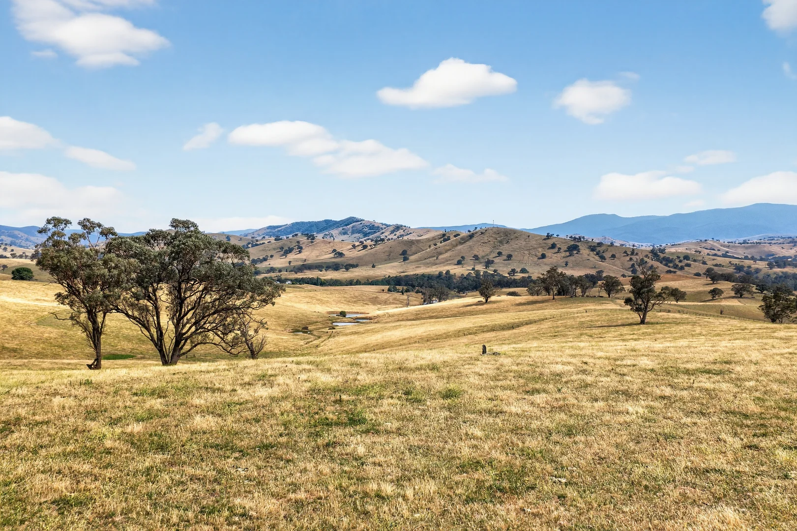 Additional image 10 of 89 Ensay-Doctors Flat Road, Ensay VIC 3895