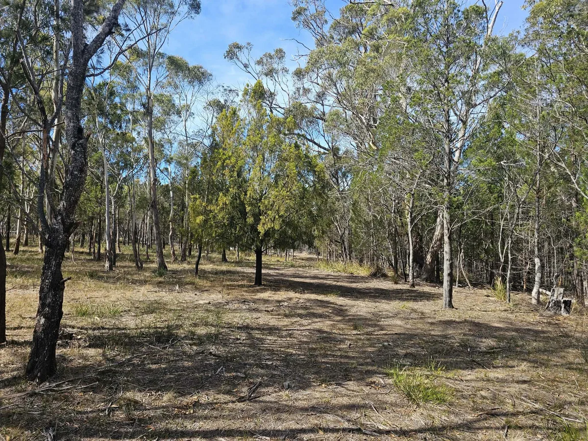 Additional image 8 of 3 Short Street, Pontypool TAS 7190