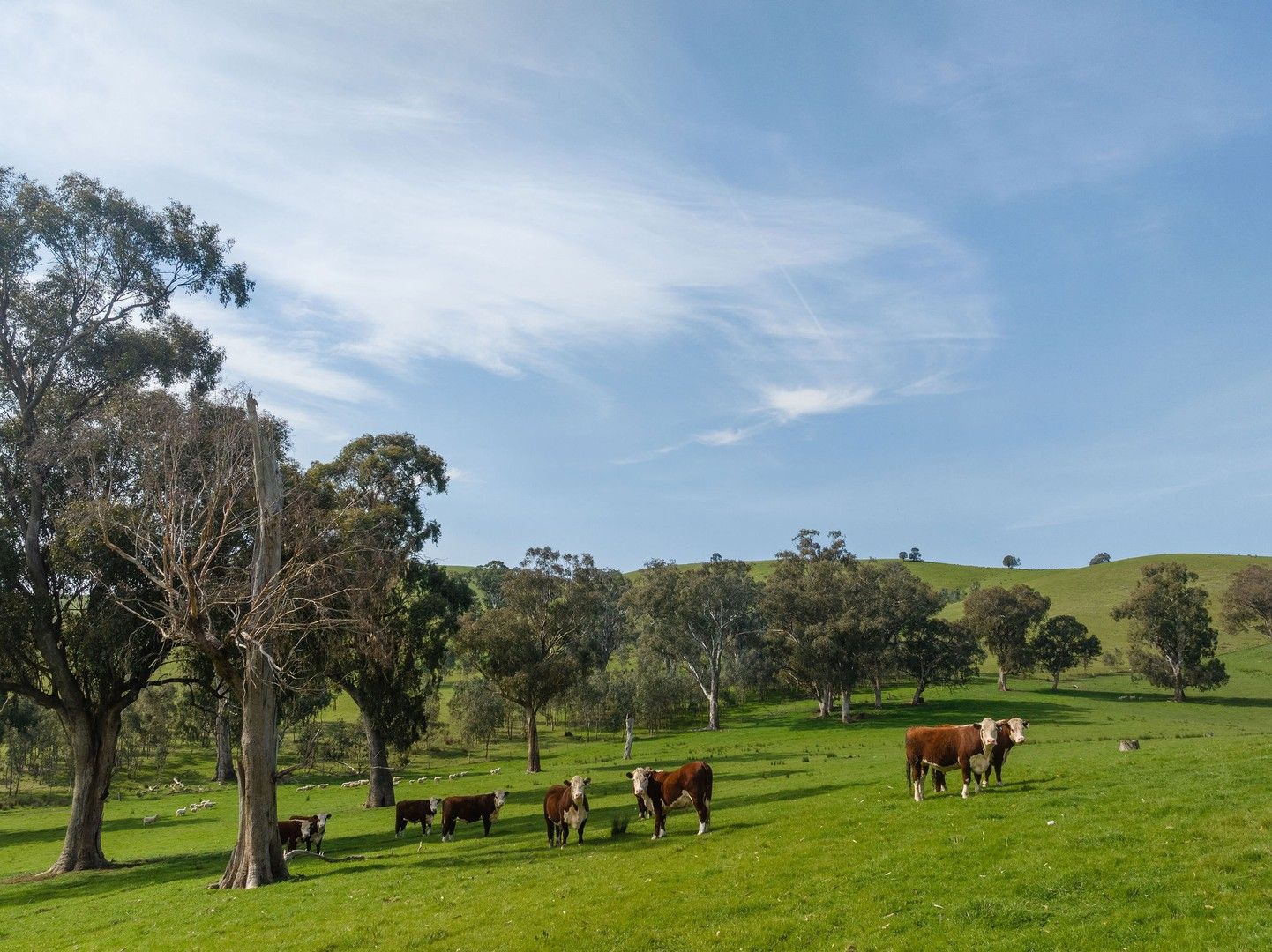 150 Middle Creek Road, Kanumbra VIC 3719, Image 0