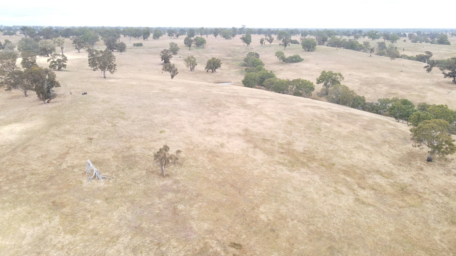 Additional image 30 of 596 Mostyn Lane, Balmoral VIC 3407