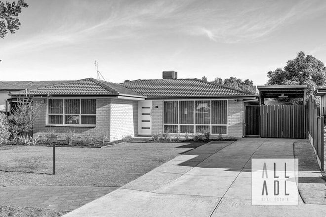 Picture of 26 Melrose Street, MODBURY HEIGHTS SA 5092