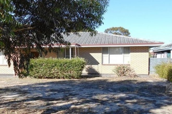 Picture of 50 Whitehead Road, GNOWANGERUP WA 6335