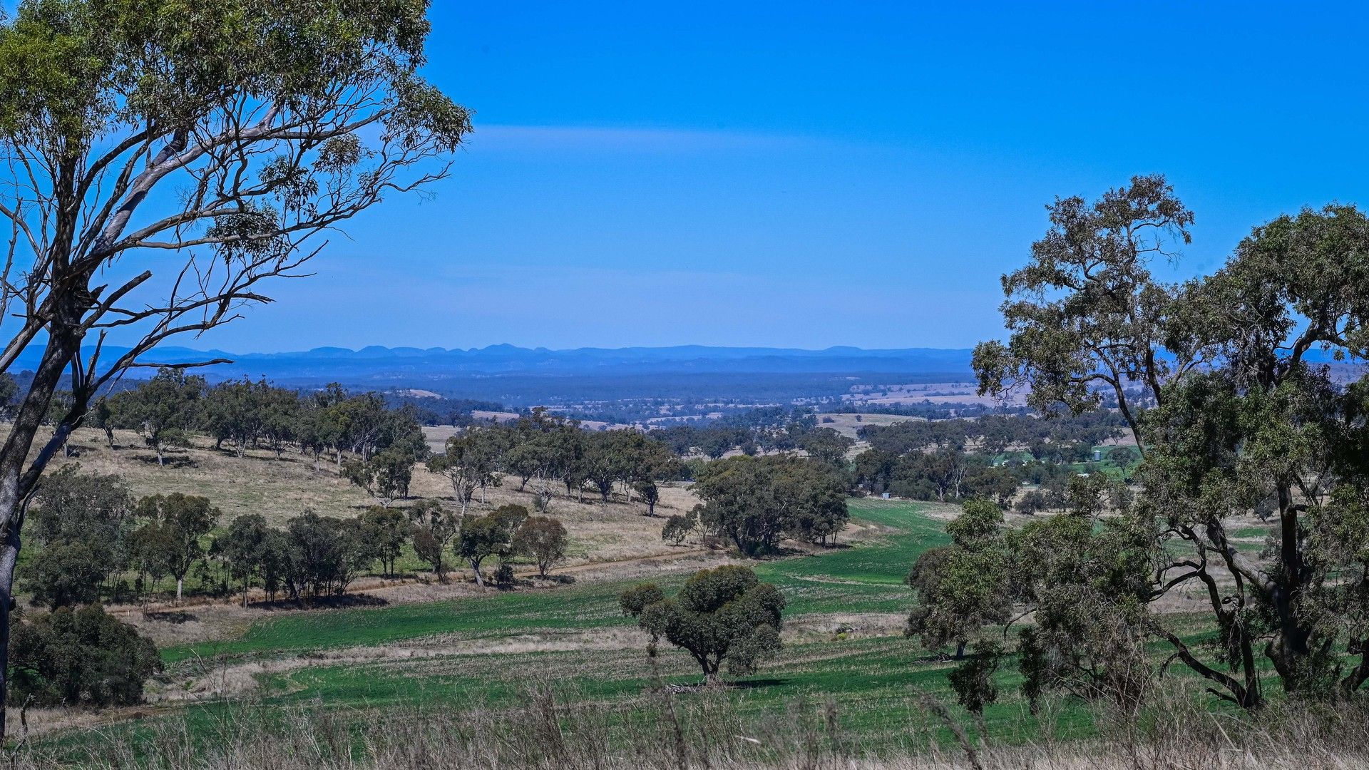 'The Valley' Racecourse Road, Cassilis NSW 2329 House for Sale