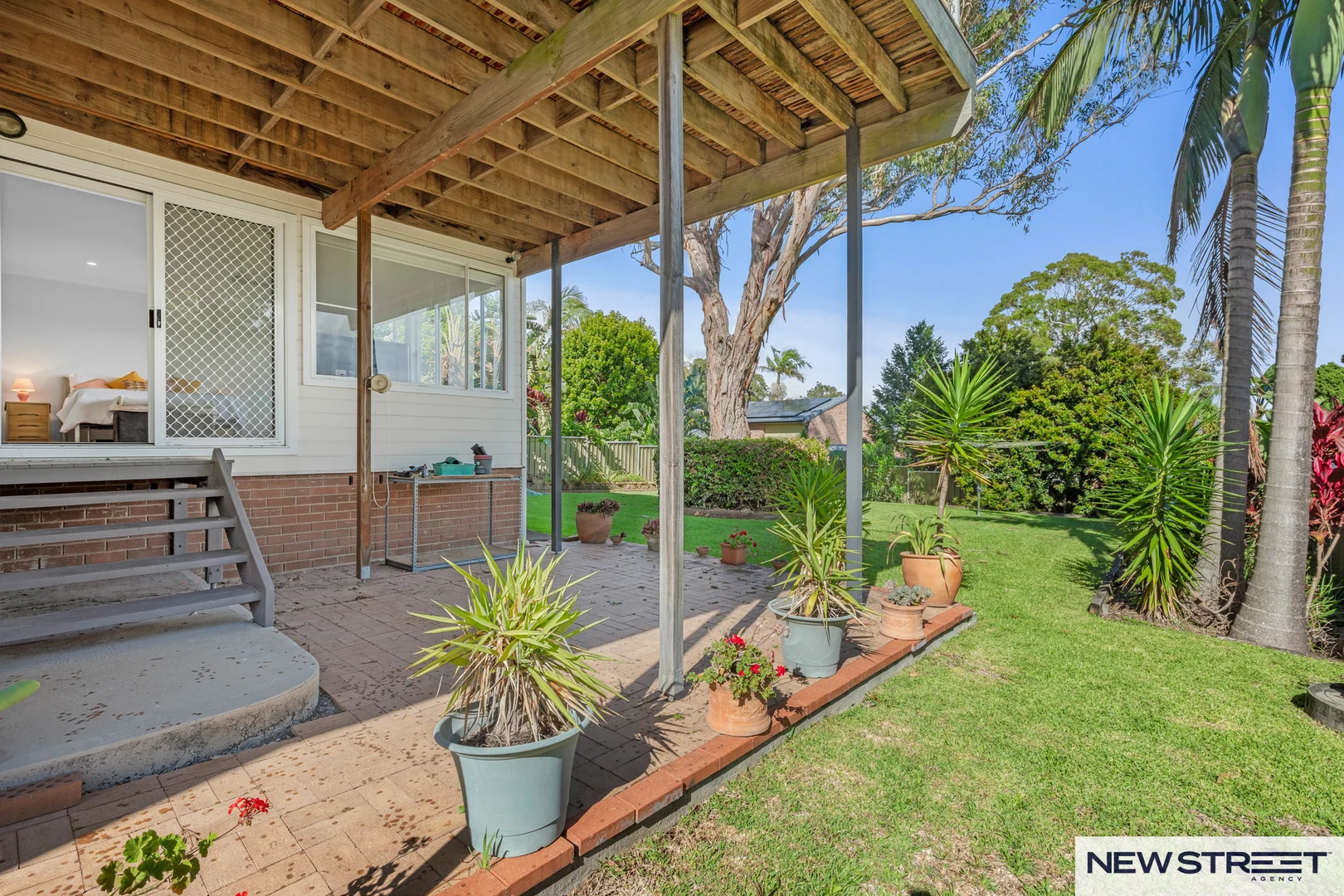 Image 19