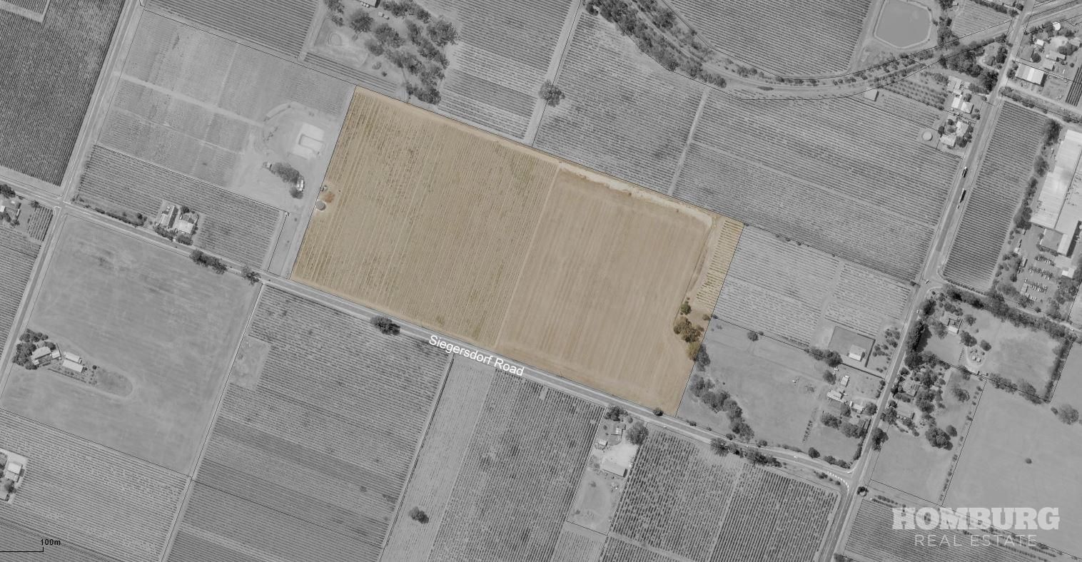 Lot 302 Siegersdorf Road, Angaston SA 5353, Image 0