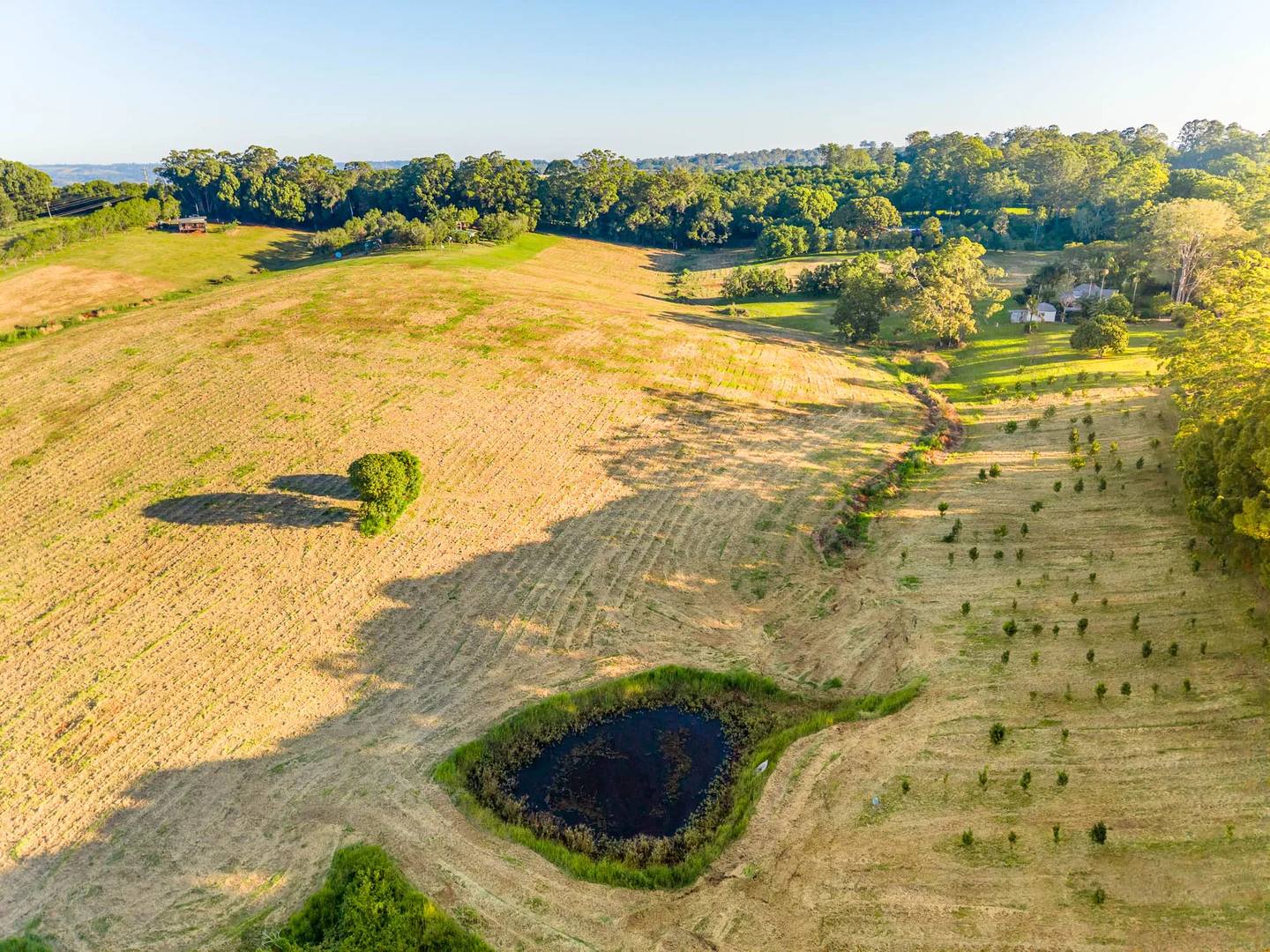 Additional image 30 of 1170 Dunoon Road, Modanville NSW 2480