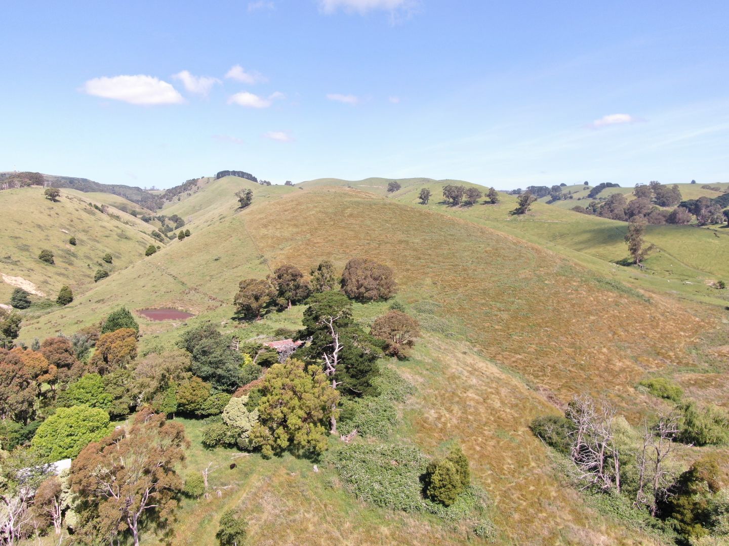 470 Clear Creek Road, Mirboo VIC 3871, Image 2