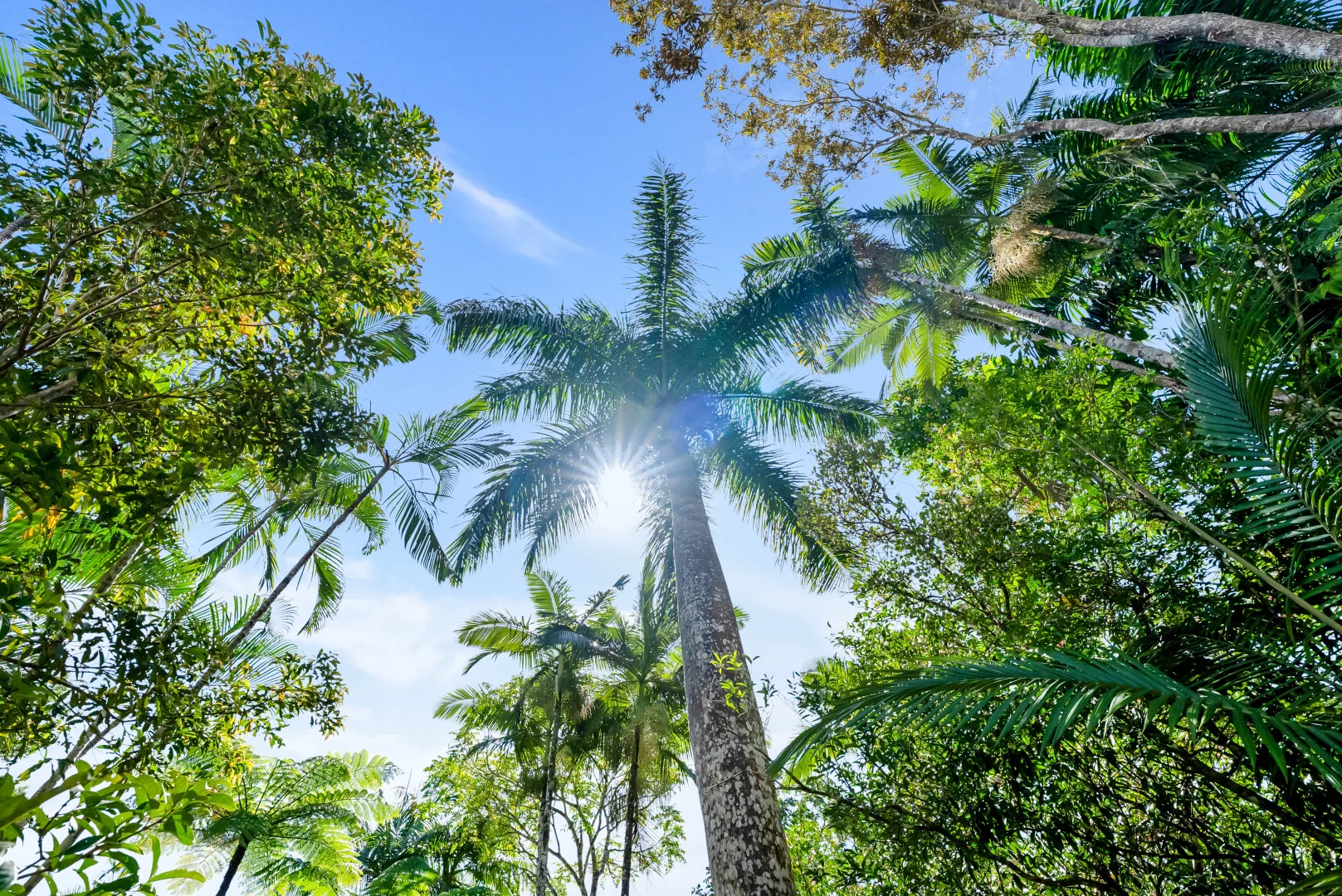 Additional image 25 of 27 Warril Drive, Kuranda QLD 4881