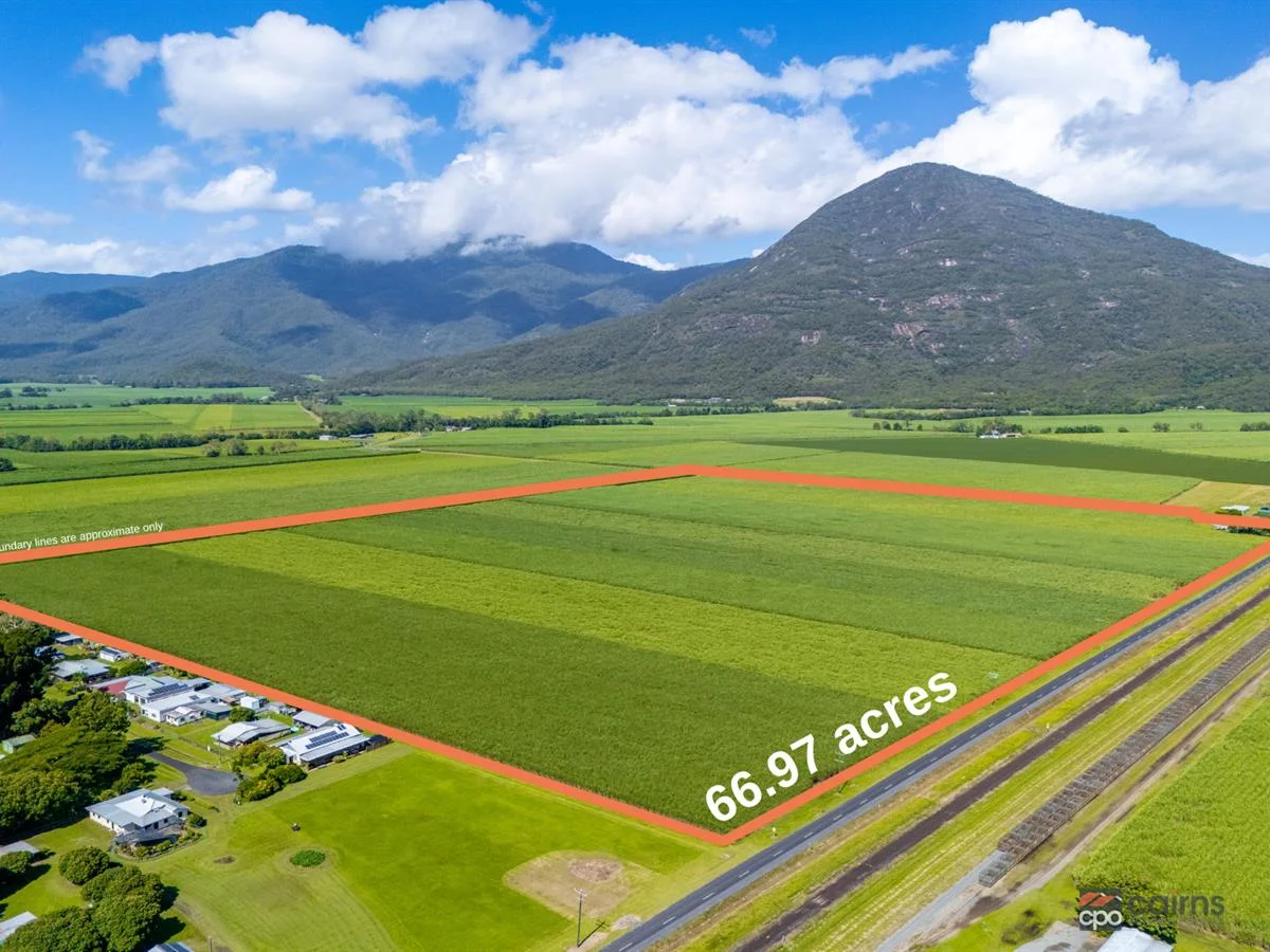 Additional image 2 of 314 Anderson Road, Aloomba QLD 4871