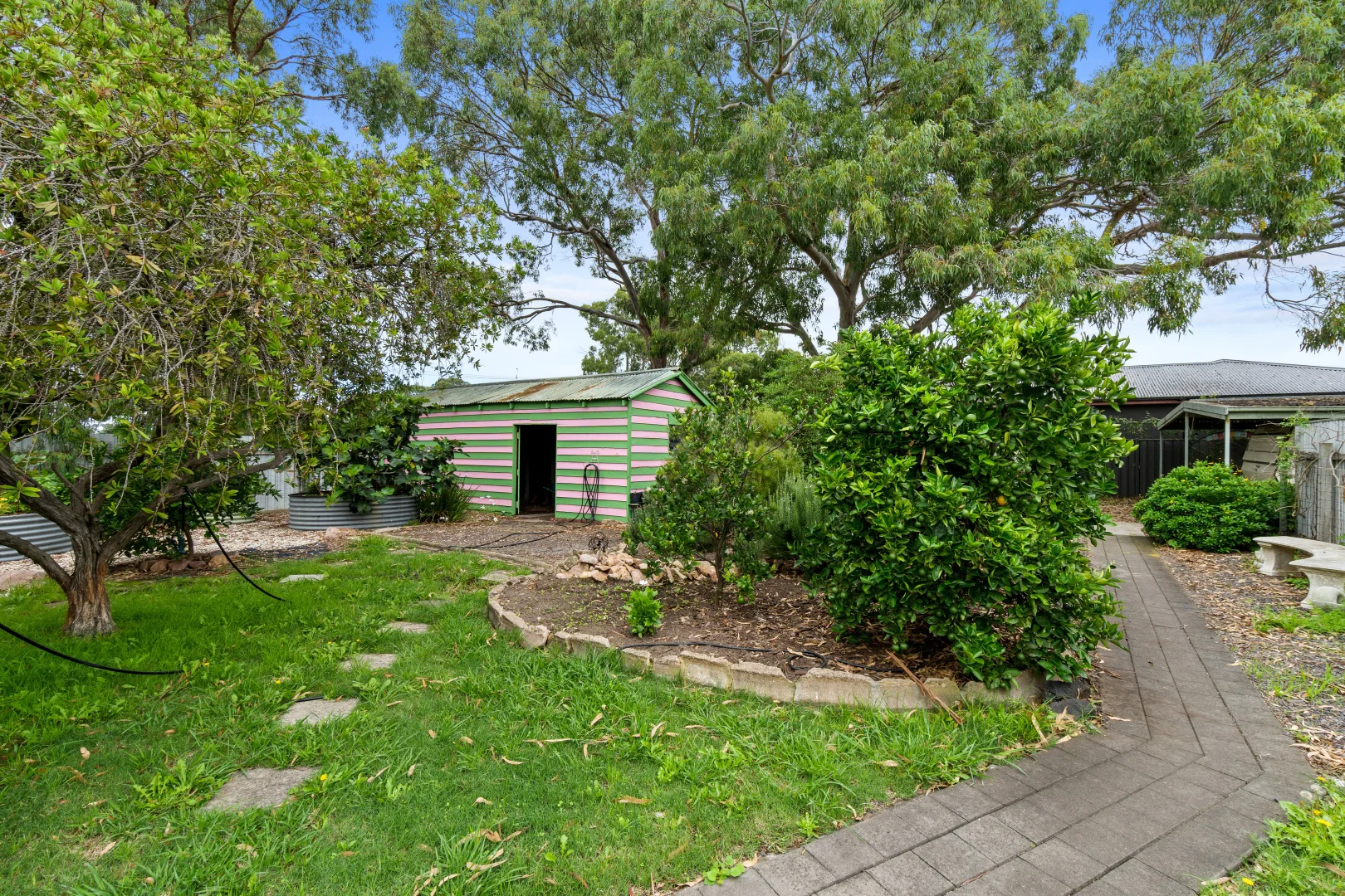 Image 15