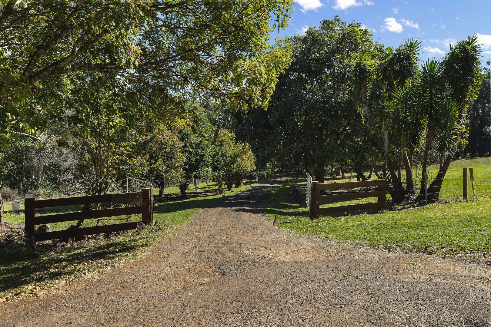 509 Rosebank Road, Rosebank NSW 2480 House for Sale Domain