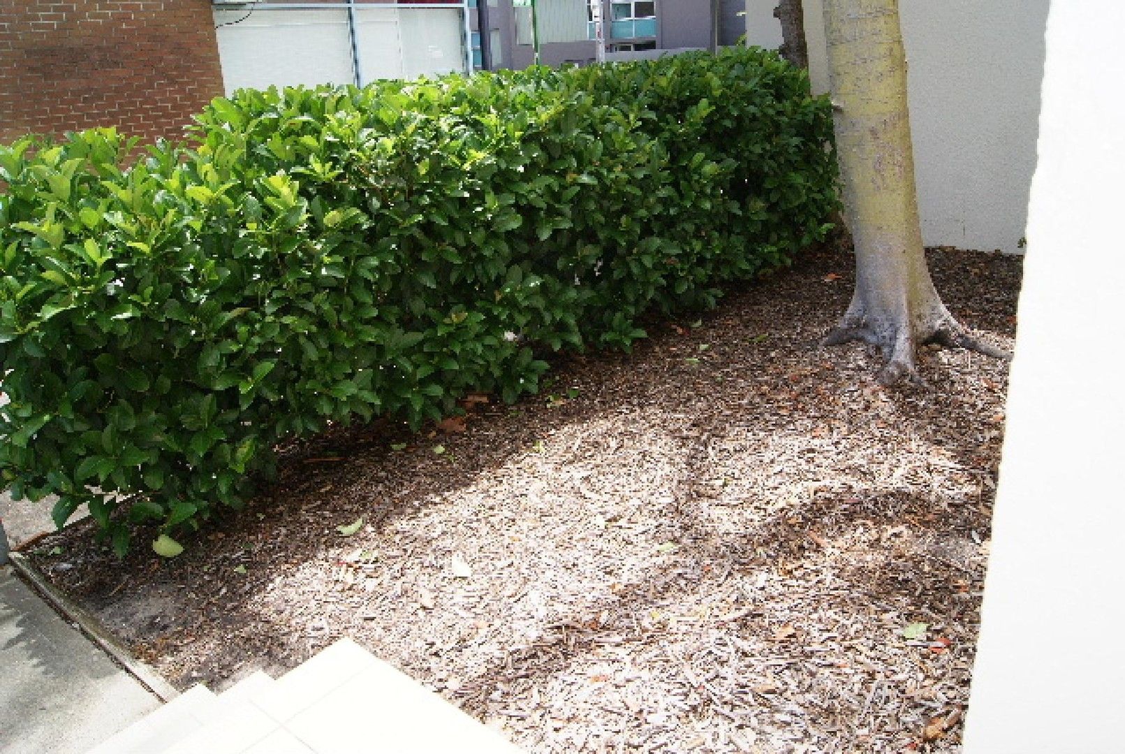 1 bedrooms Apartment / Unit / Flat in 3 / 140 SPIT Road MOSMAN NSW, 2088