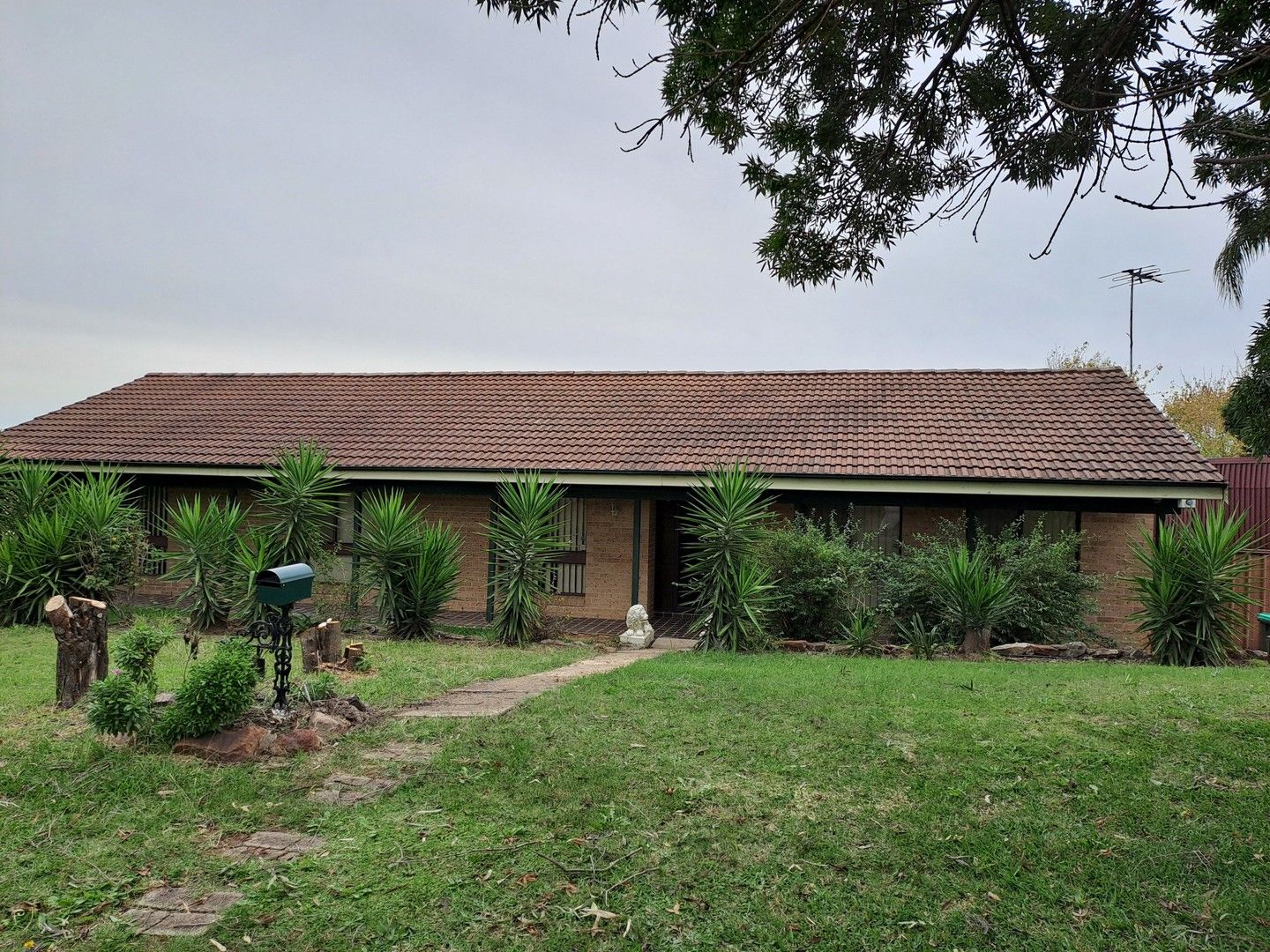 4 bedrooms House in 15 Shiraz Street MUSWELLBROOK NSW, 2333