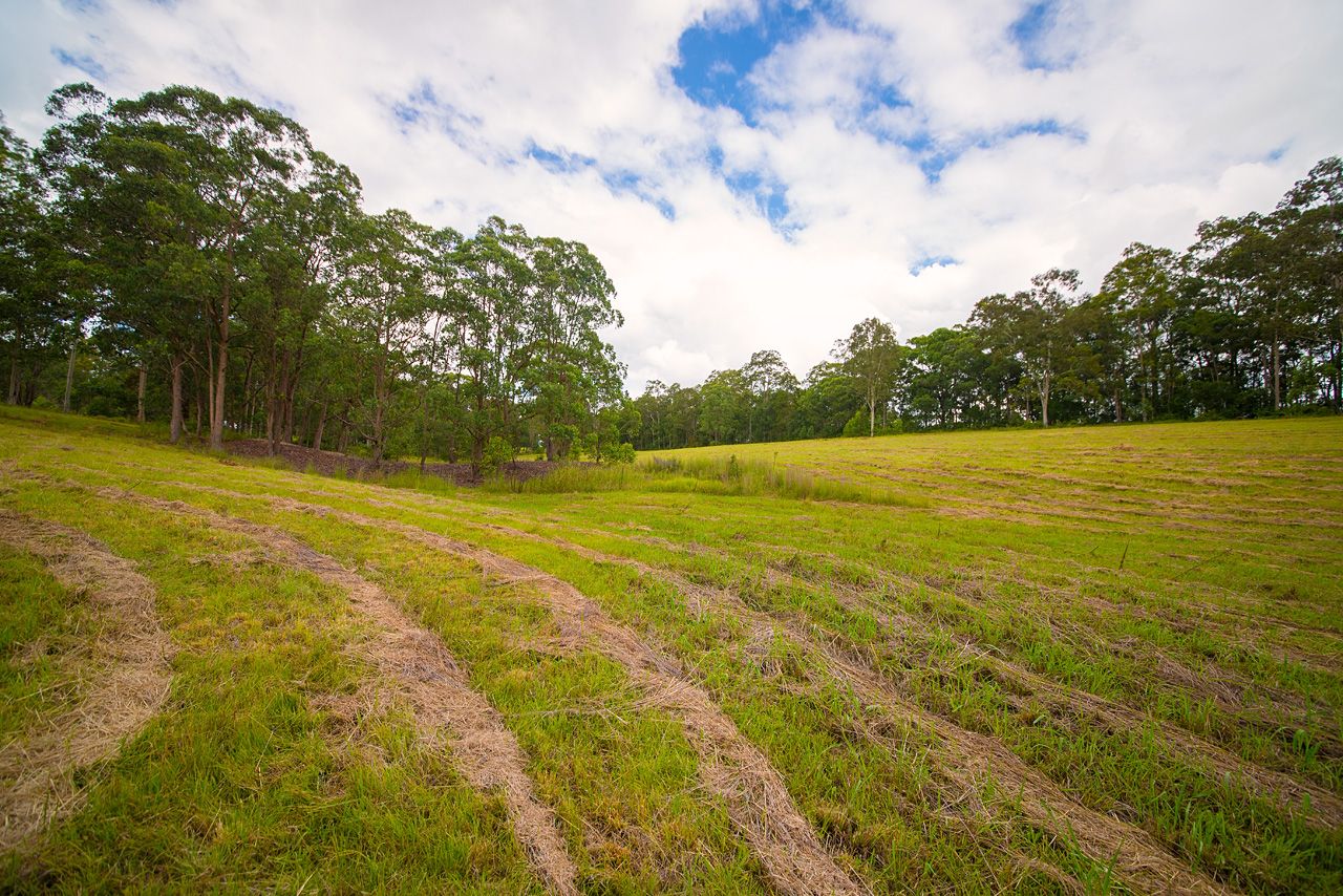 Lot 103 Bull Hill Road, Tinonee NSW 2430, Image 2