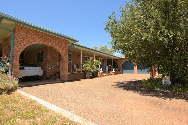 Picture of 9-11 PULLAMING STREET, CURLEWIS NSW 2381