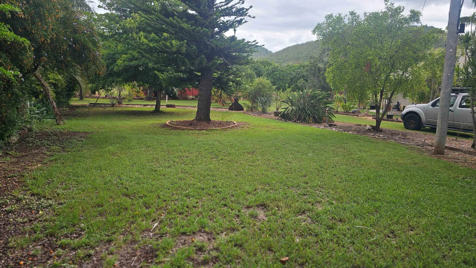 Image 13