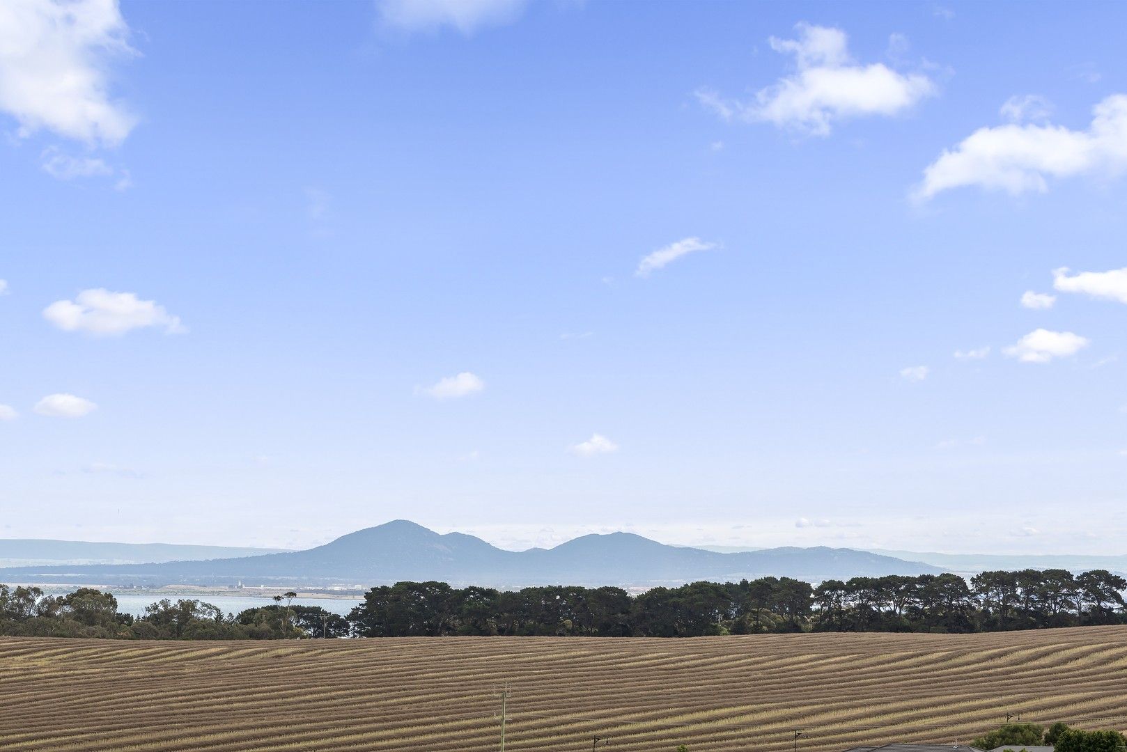 4 bedrooms House in 14 Cinque Terrace CURLEWIS VIC, 3222