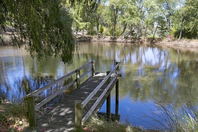 252 Real Estate Properties For Sale In Inglewood Sa 5133 Domain