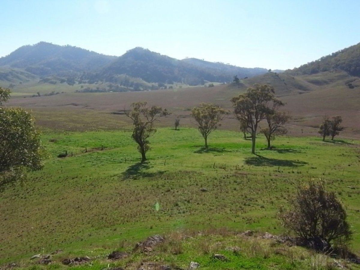 Lot 223 Sandy Creek Road, Mccullys Gap NSW 2333, Image 0