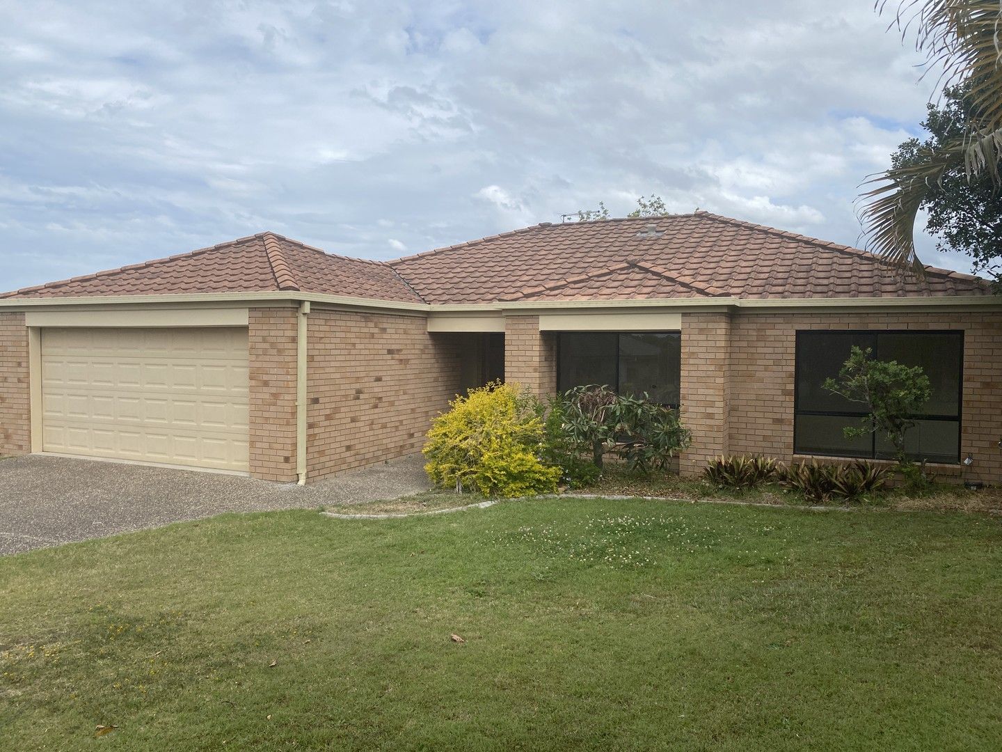 8 Watkins Court Ormeau QLD 4208 House For Rent Domain