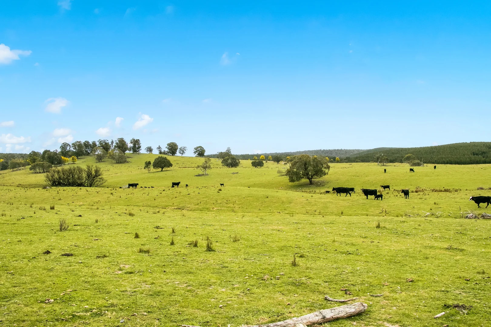 Image 18