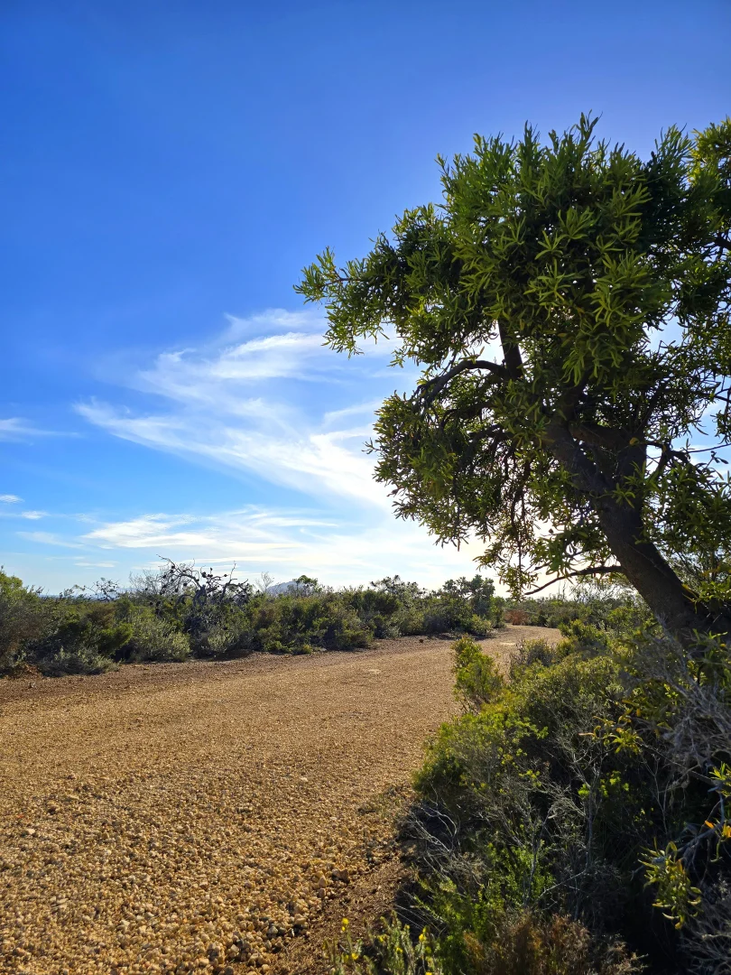 Additional image 30 of 139 Lechenaulita Drive, Hopetoun WA 6348