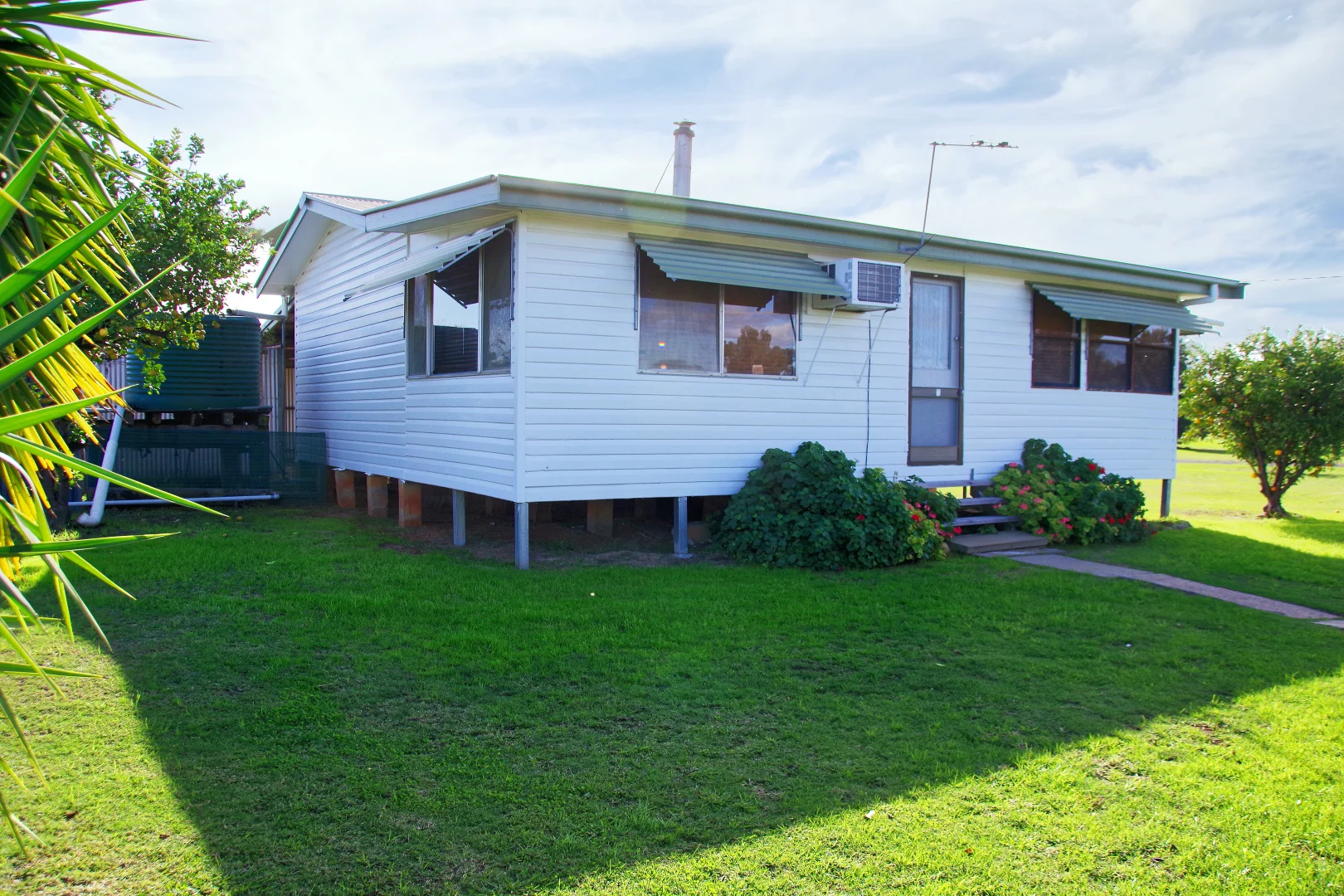 Image 8