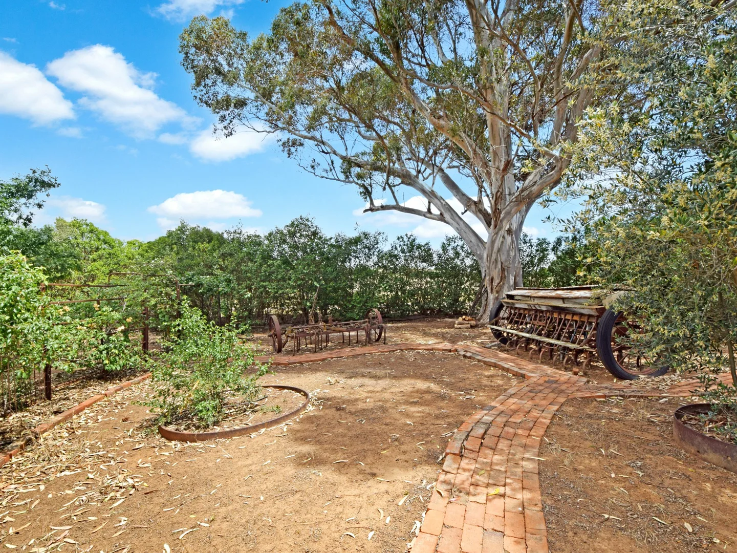 Image 33