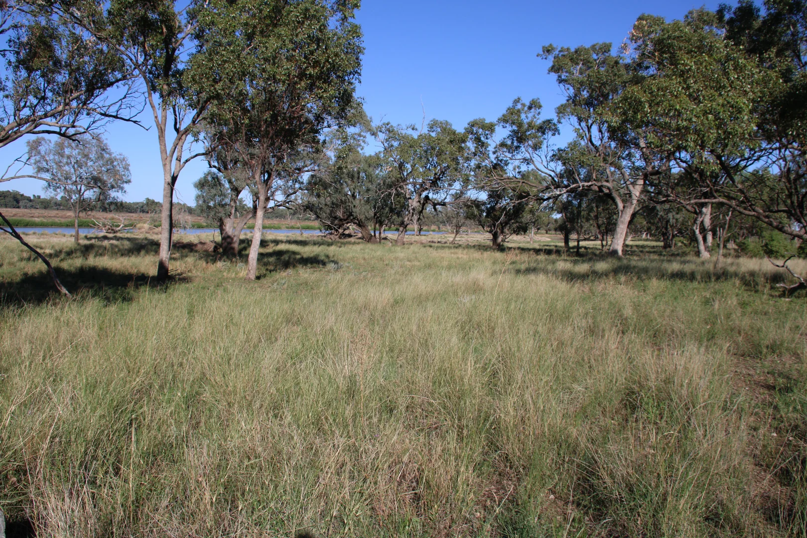 Additional image 23 of 20841 Kamilaroi Highway, Narrabri NSW 2390