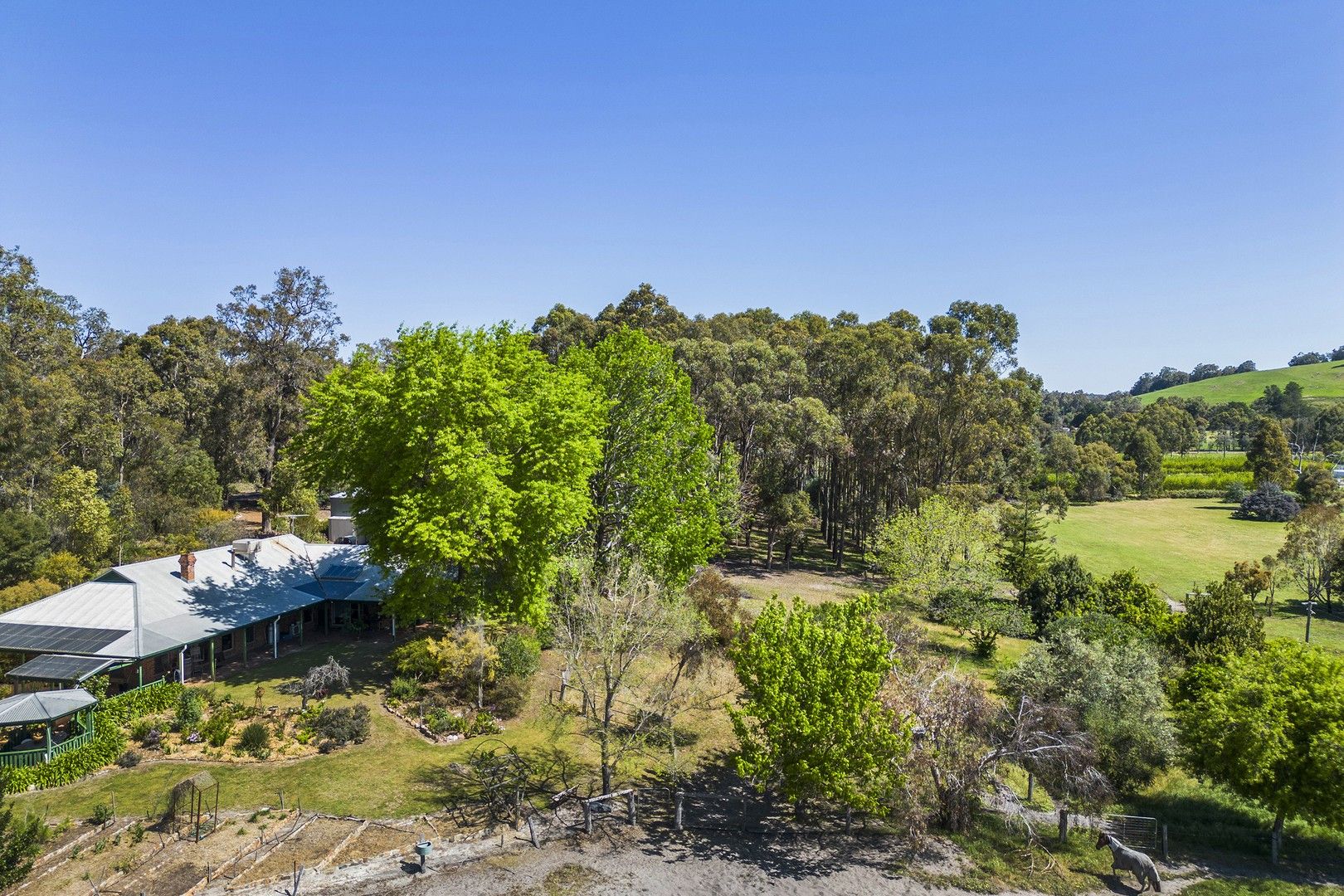 85 Preston Road, Donnybrook WA 6239 Domain