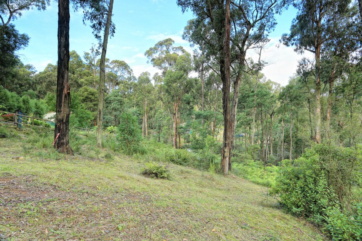 37 Mountain Road, Cockatoo VIC 3781, Image 0