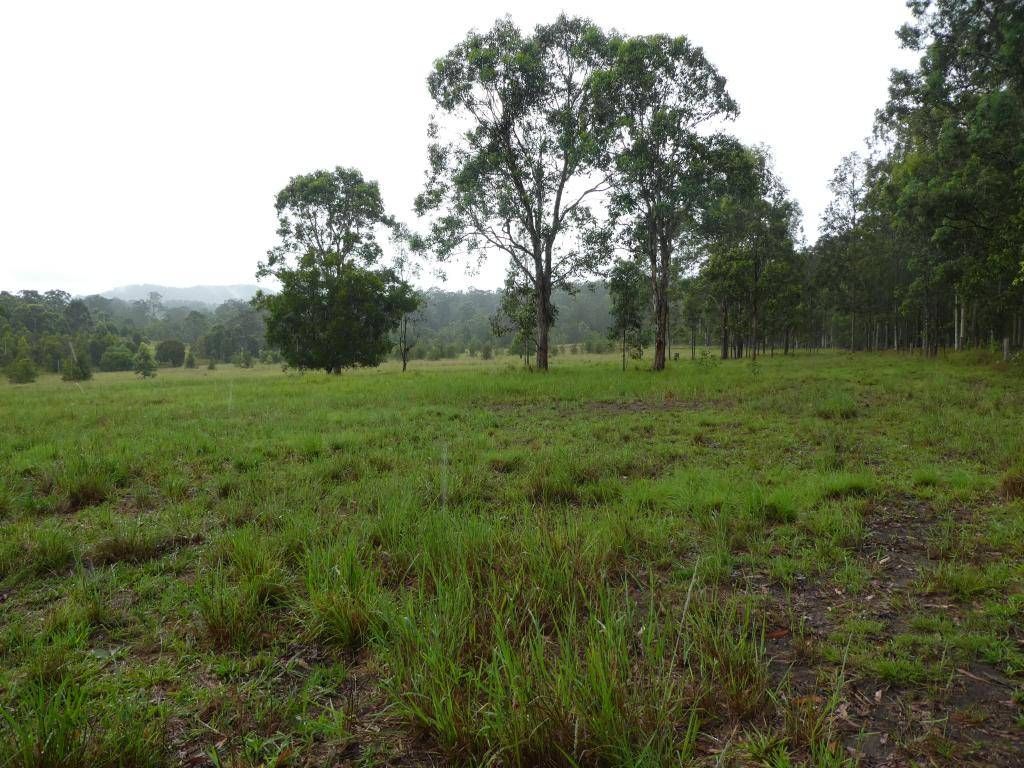 Burrell Creek NSW 2429, Image 2