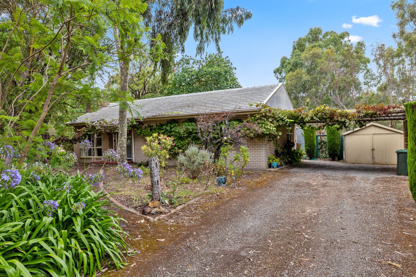 220 Blewitt Springs Road, McLaren Flat SA 5171, Image 2