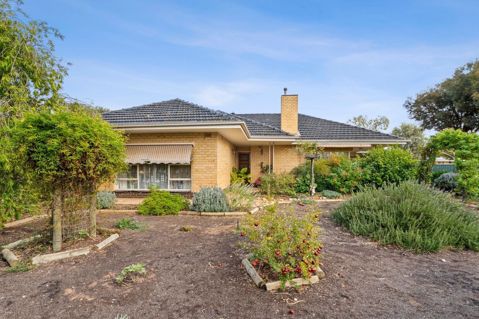 1536 Bookpurnong Road, Loxton SA 5333 Domain