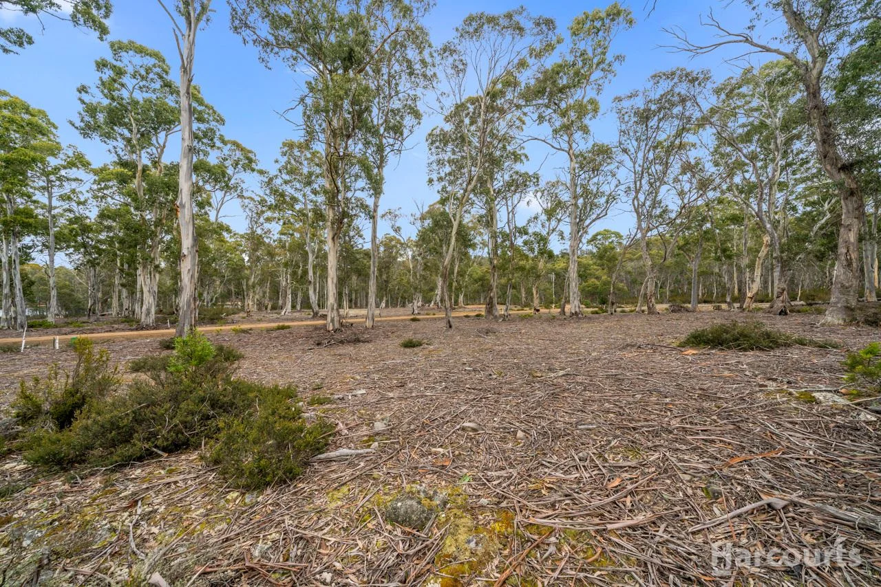 Image 15