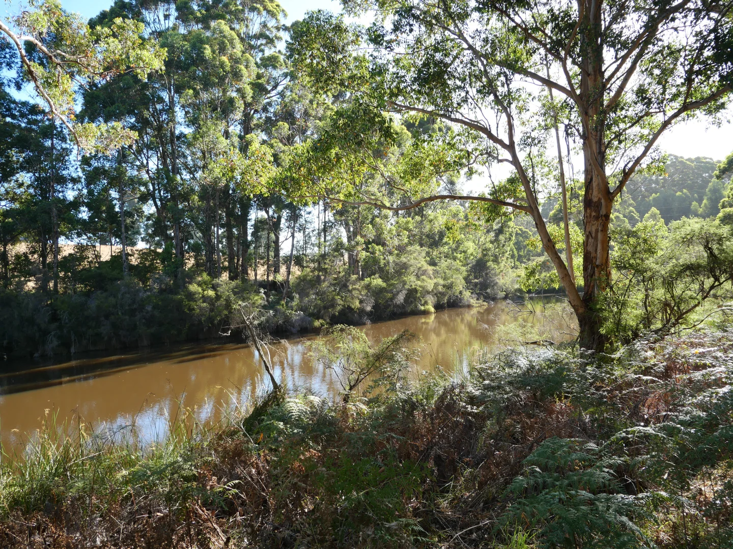Image 6