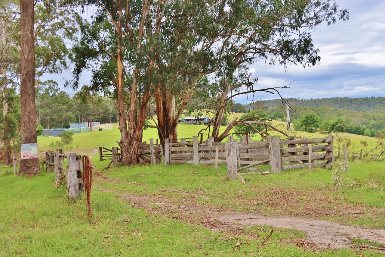 Image 48
