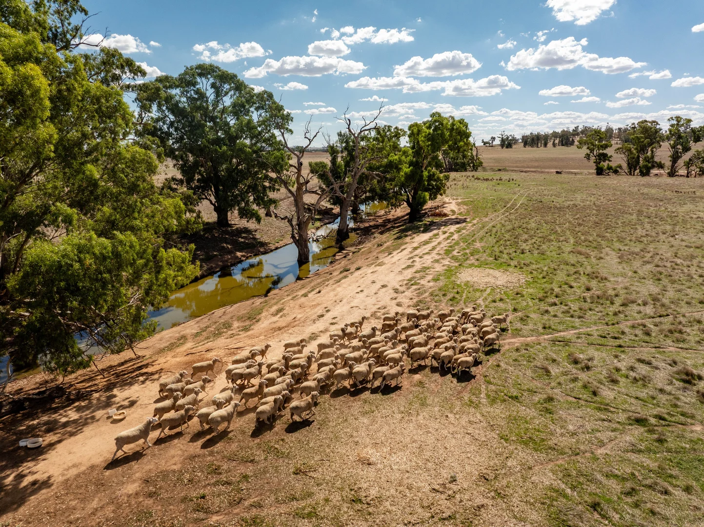 Additional image 5 of 326 Downside Road, Downside NSW 2650