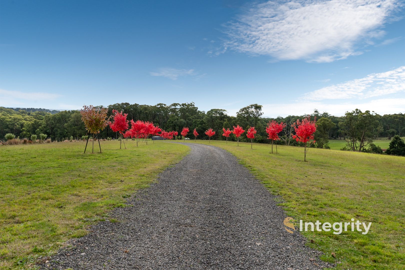 51 Pheasant Creek Road, Pheasant Creek VIC 3757, Image 1