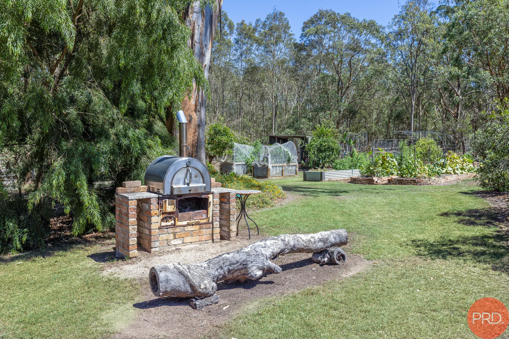 Image 11