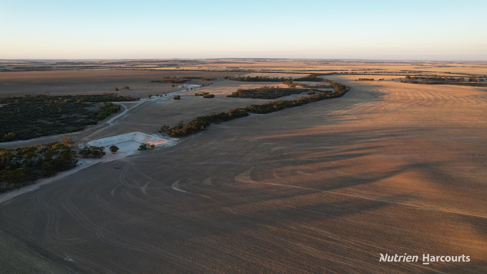 4691 Kulin-Holt Rock Road, Pingaring WA 6357 - Farm for Sale | Domain