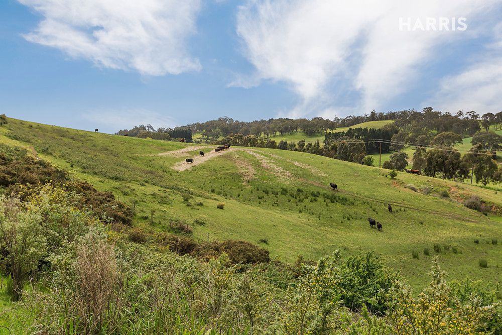 34 Neudorf Road, Lobethal SA 5241, Image 2