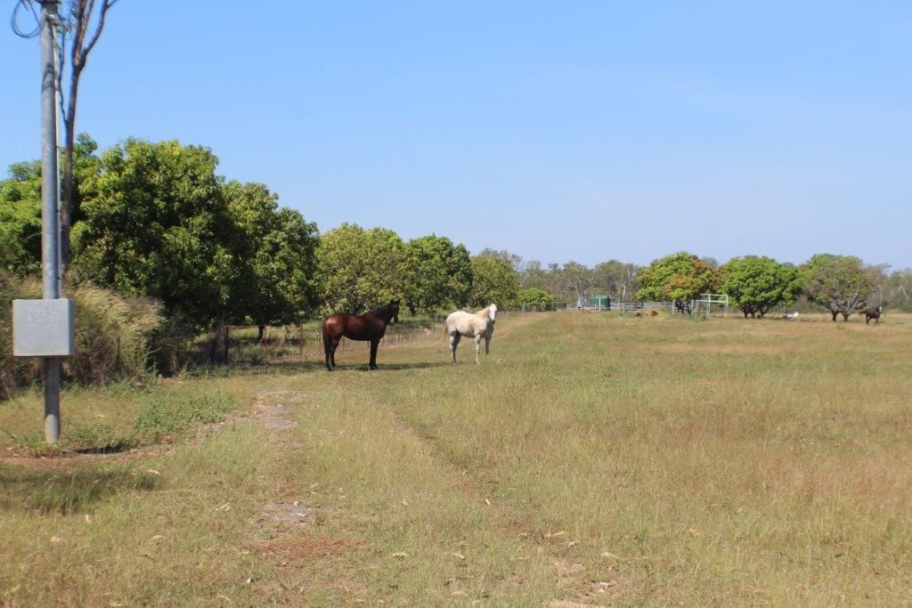 1105 Livingstone Road, Berry Springs NT 0838, Image 1