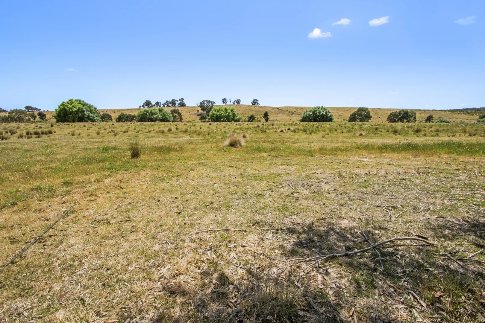 Image 25