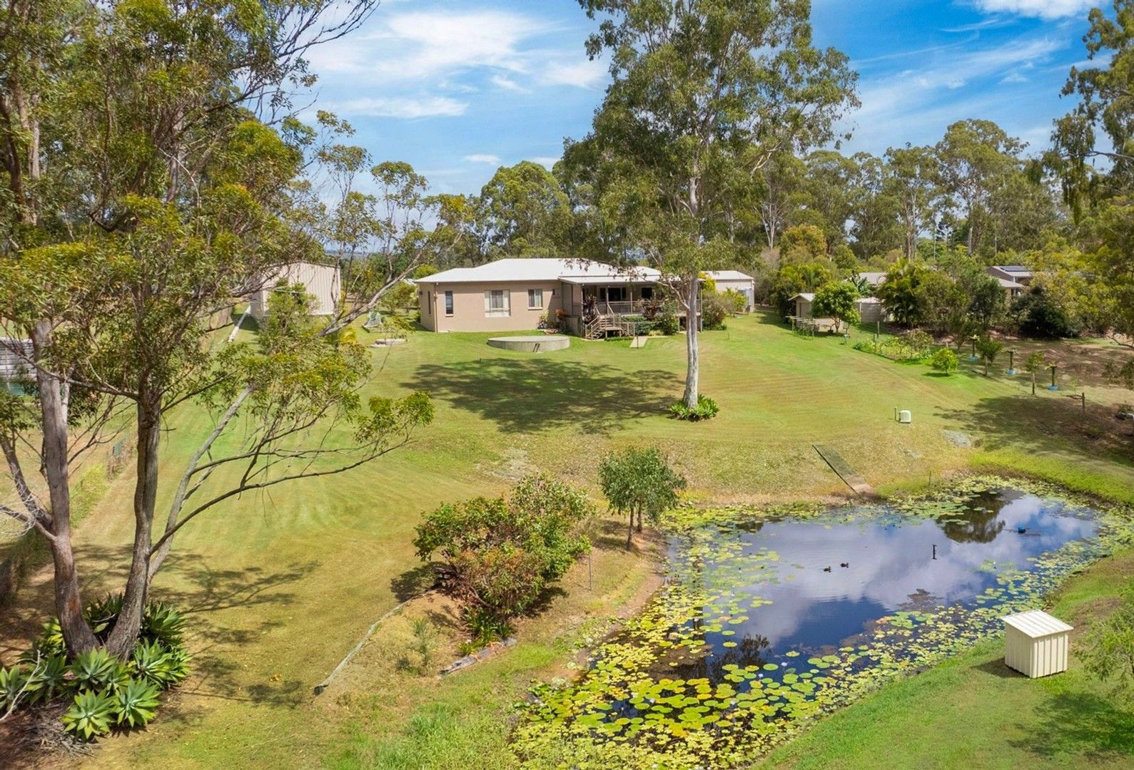 51 Lawson Road, Pie Creek QLD 4570 Domain