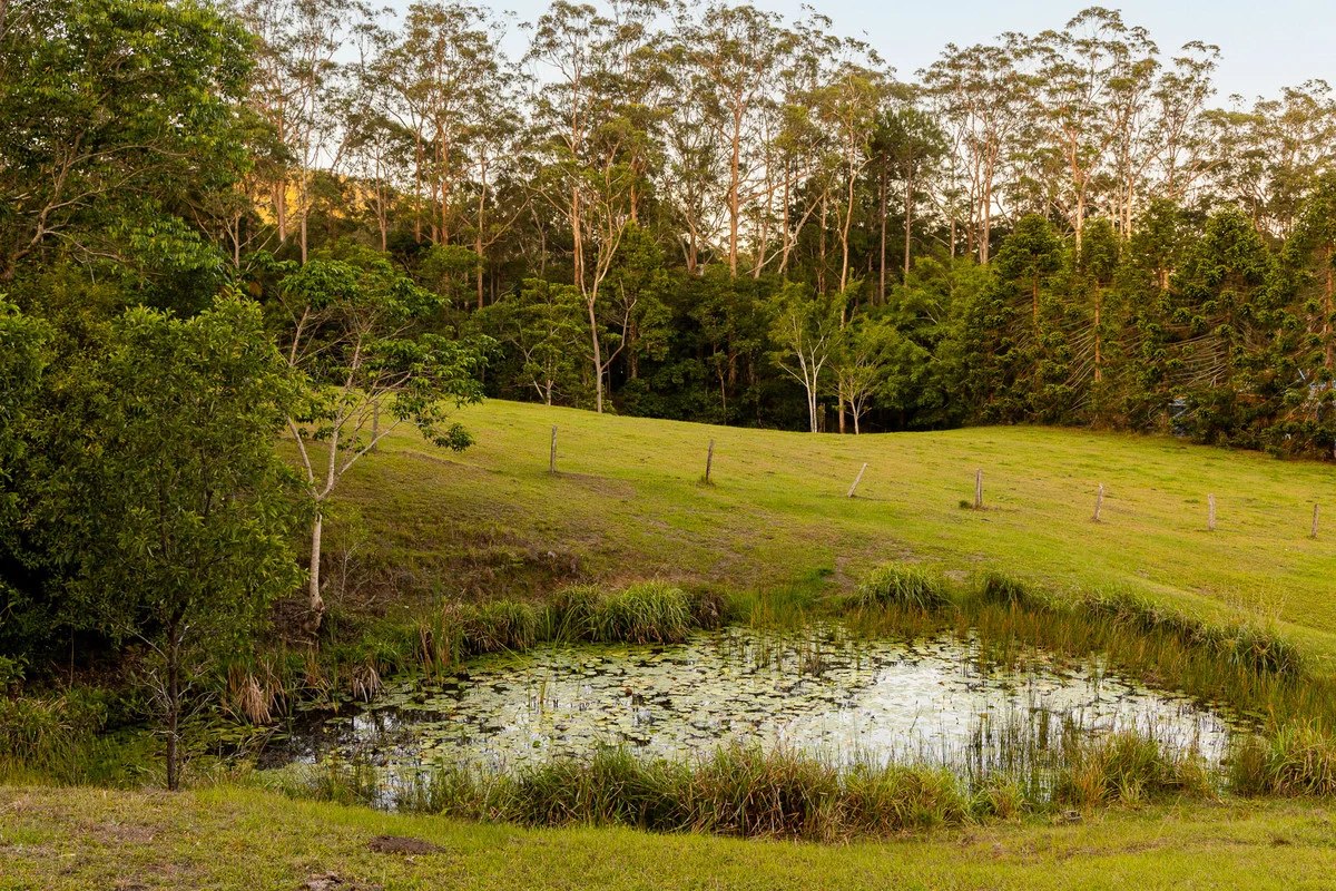 Additional image 30 of 79 Isambert Road, Glenview QLD 4553